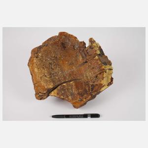 Ungewöhnlich großer baltischer Bernstein