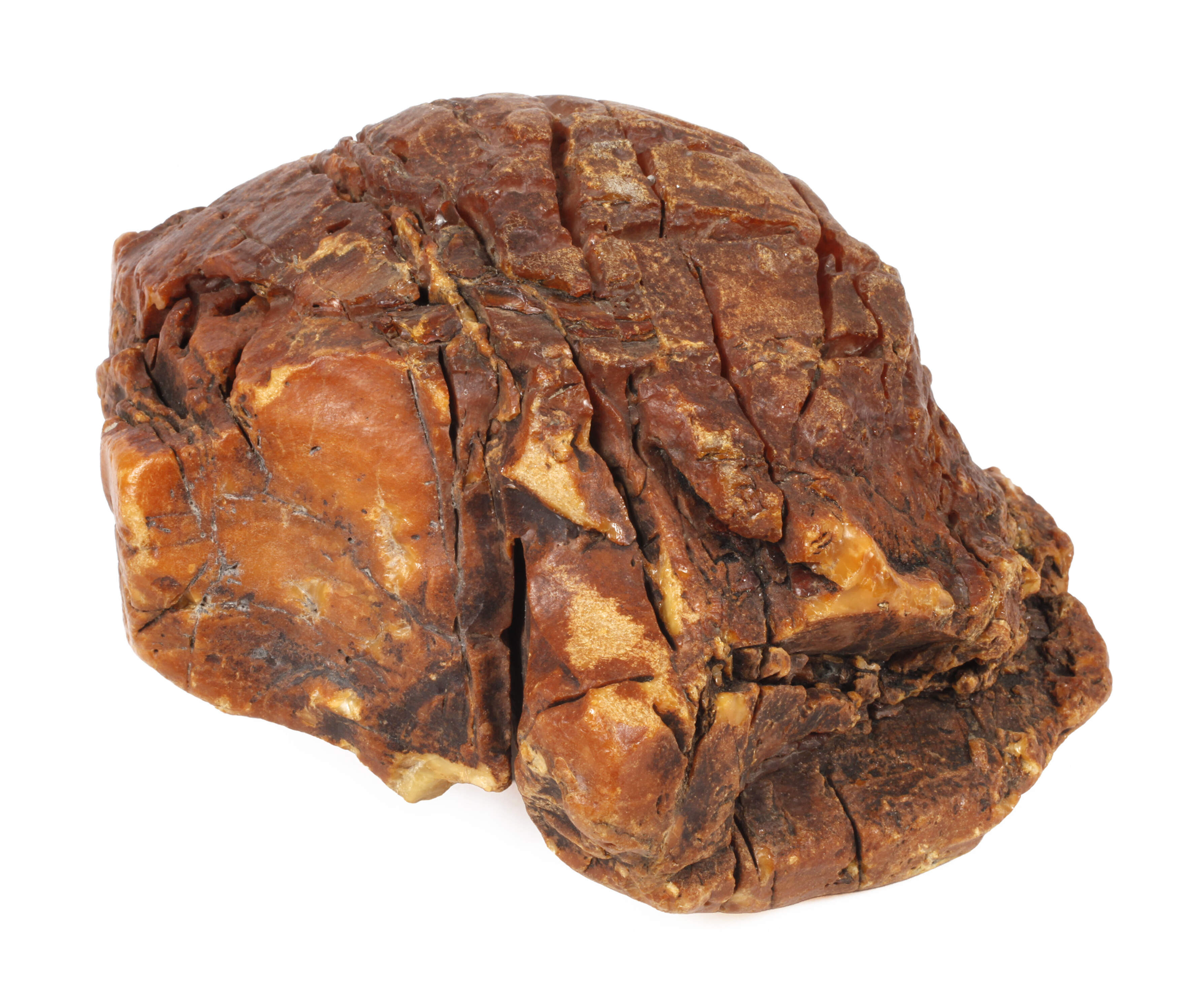 Ungewöhnlich großer baltischer Bernstein