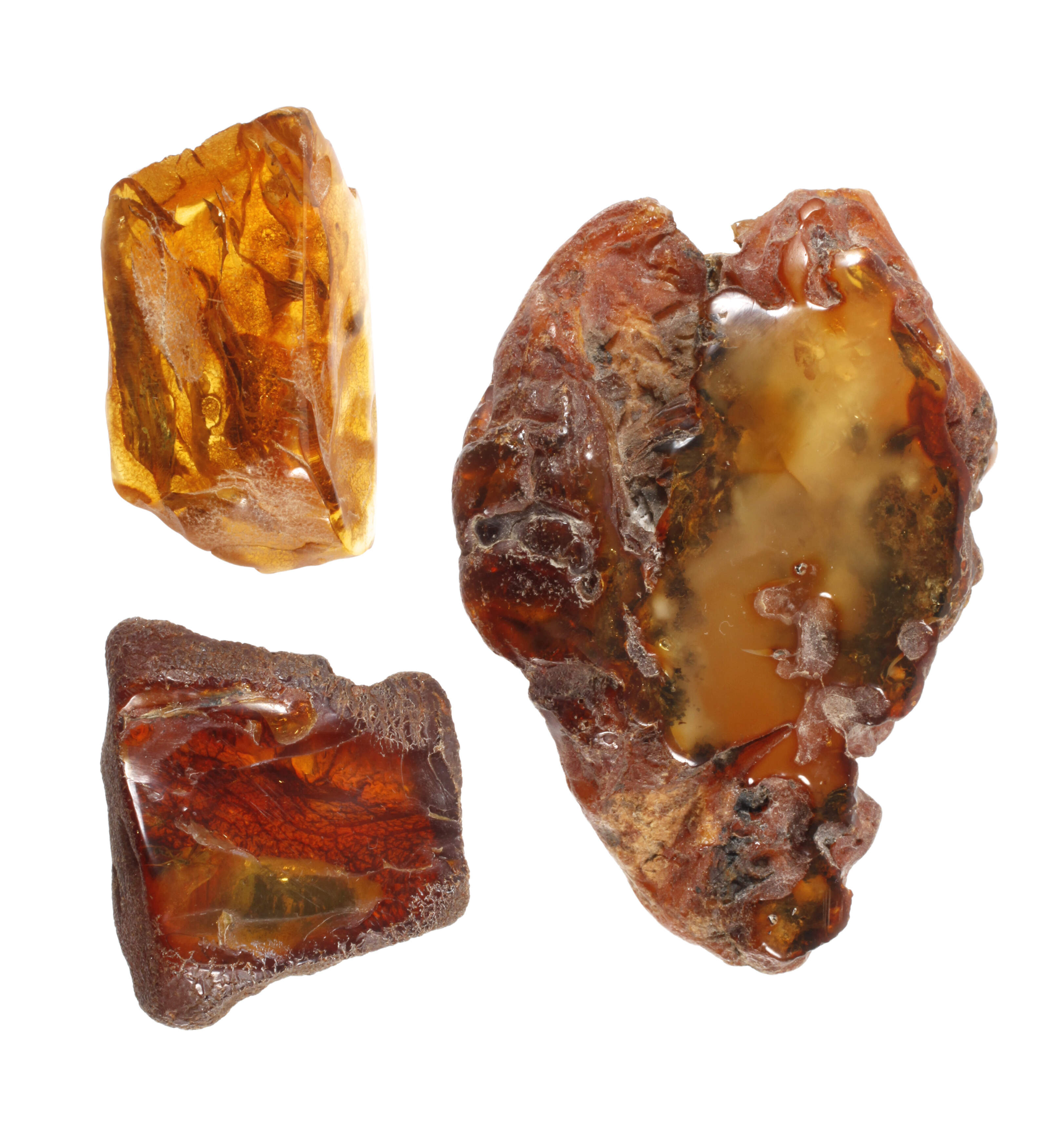 Drei Rohbernsteine