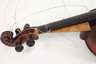 Violine
