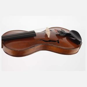 Violine im Etui