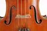 Violine Giuseppe Rossi