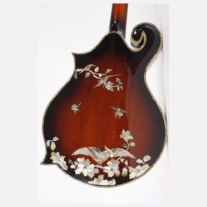 Mandocello im F5-Stil