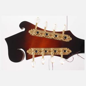 Mandocello im F5-Stil