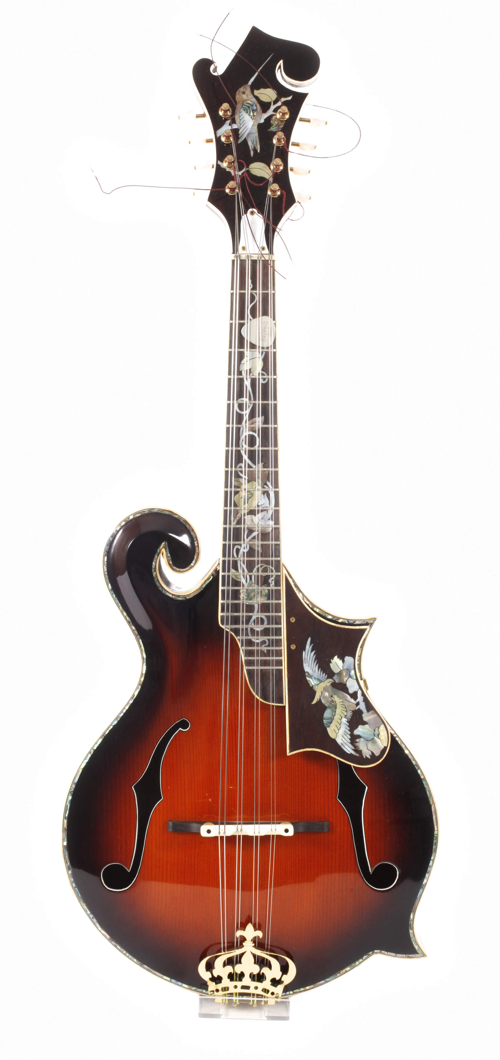 Mandocello im F5-Stil