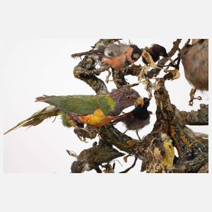 Große Singvogelspieluhr Devers