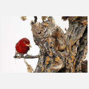 Große Singvogelspieluhr Devers