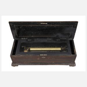 Große Walzenspieldose