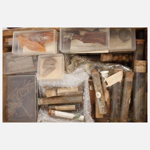 Große historische Drogensammlung