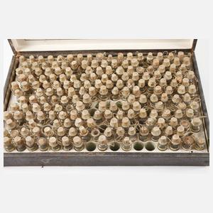 Homöopathische Hausapotheke