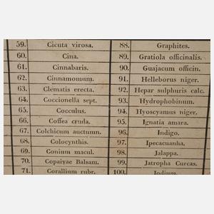 Homöopathische Hausapotheke