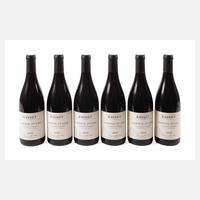 Sechs Flaschen Ladoix 1er Cru Vieilles Vignes 2020111