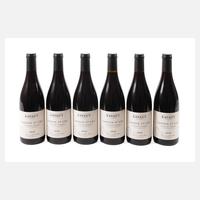 Sechs Flaschen Ladoix 1er Cru Vieilles Vignes 2020111