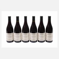 Sechs Flaschen Rotwein111