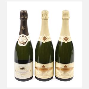 Drei Flaschen Jahrgangschampagner