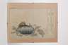 Kitagawa Utamaro, "Landschnecke und Riesenkäfer"
