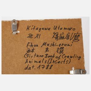 Kitagawa Utamaro, "Landschnecke und Riesenkäfer"