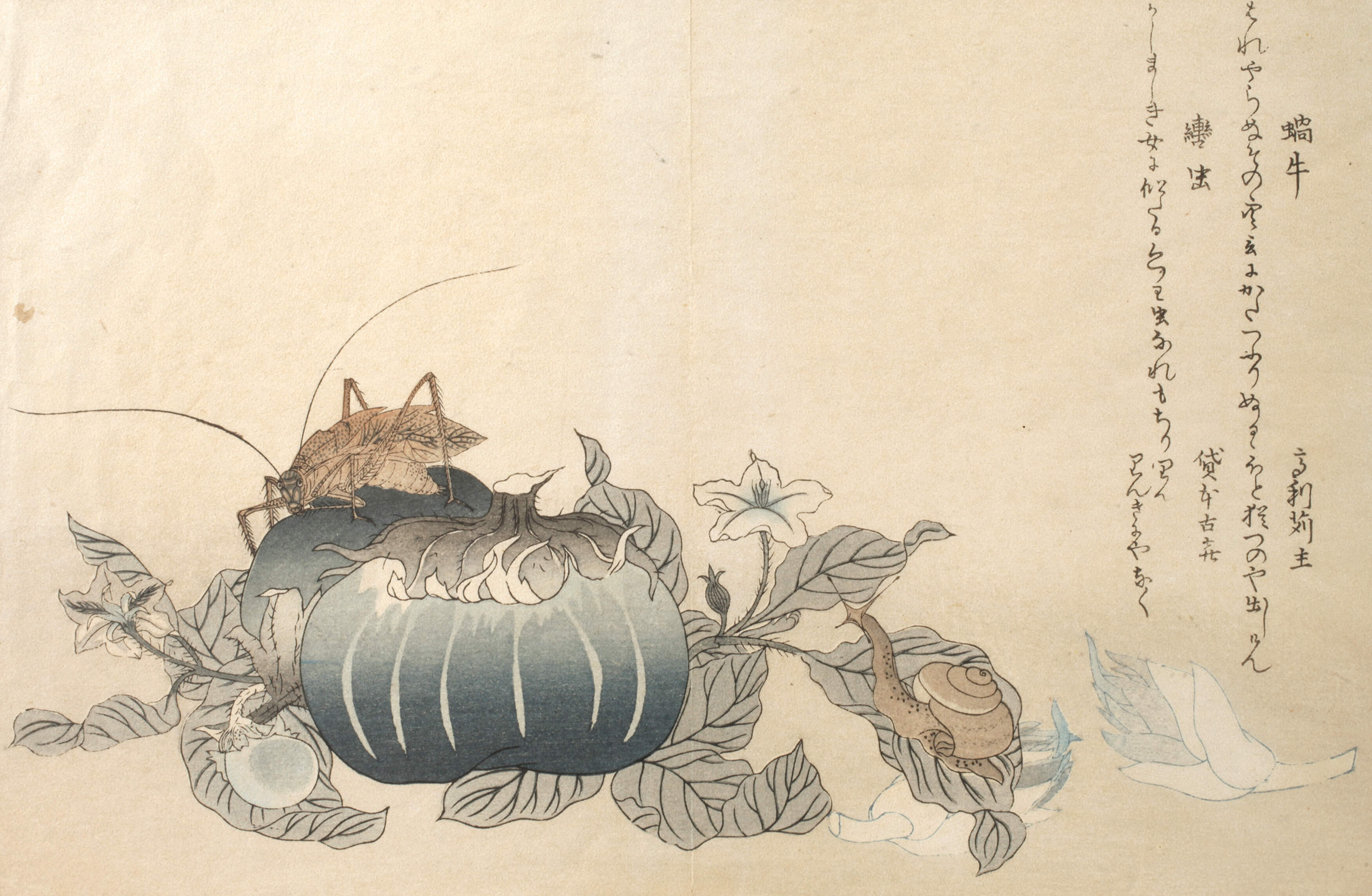 Kitagawa Utamaro, "Landschnecke und Riesenkäfer"