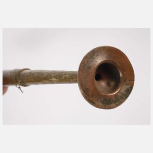 Drachenkopf-Trompete