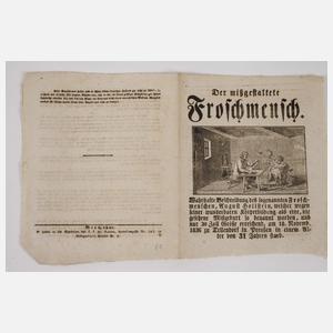 Sammlung von 137 Mordblättern