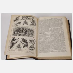 Pierers Konversationslexikon