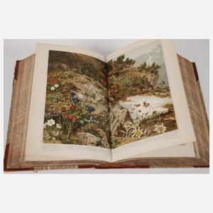 Meyers großes Konversationslexikon