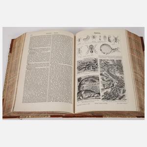 Meyers großes Konversationslexikon