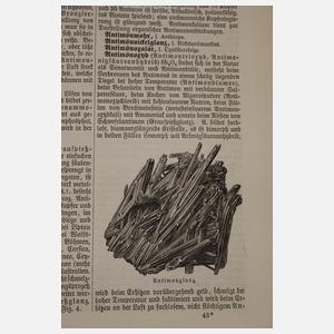 Meyers großes Konversationslexikon