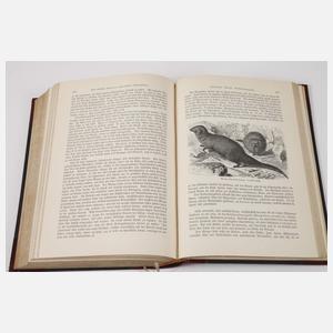 Brehms Tierleben 1900