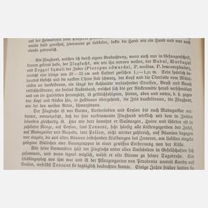 Brehms Tierleben 1900