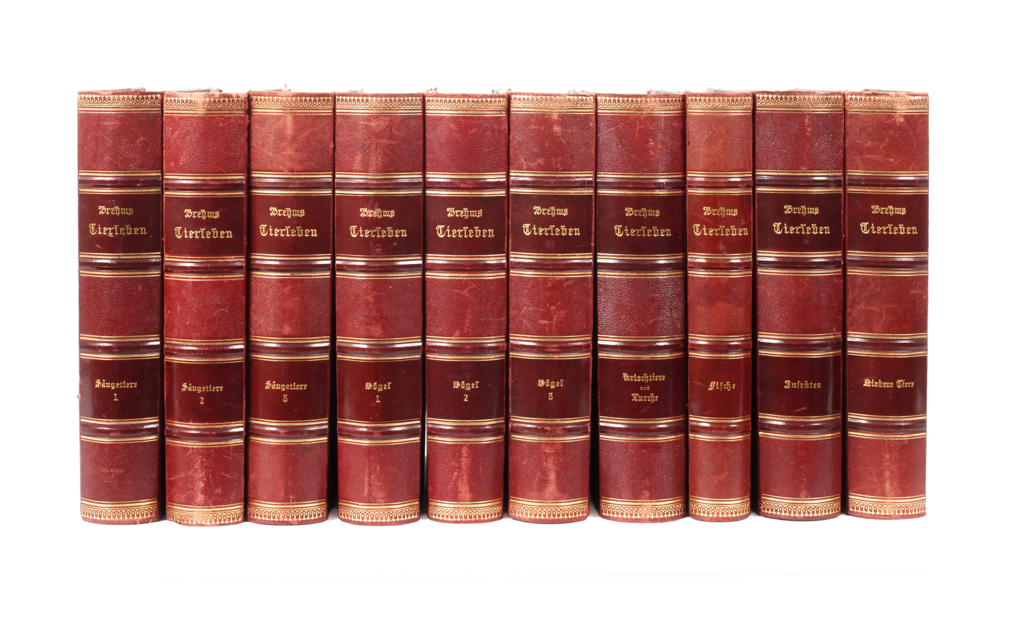Brehms Tierleben 1900