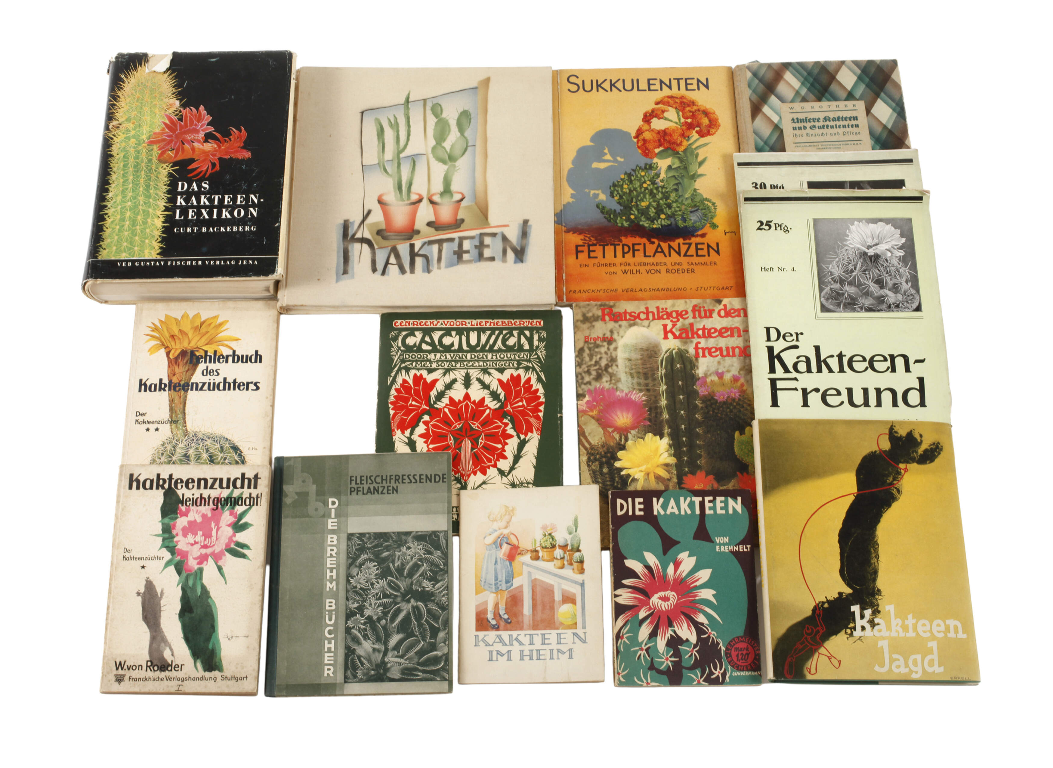 Konvolut Fachliteratur Kakteen