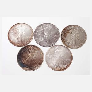 Konvolut Silberunzen USA