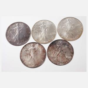 Konvolut Silberunzen USA