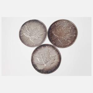 Konvolut Silberunzen Kanada