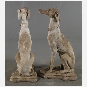 Paar sitzende Windhunde