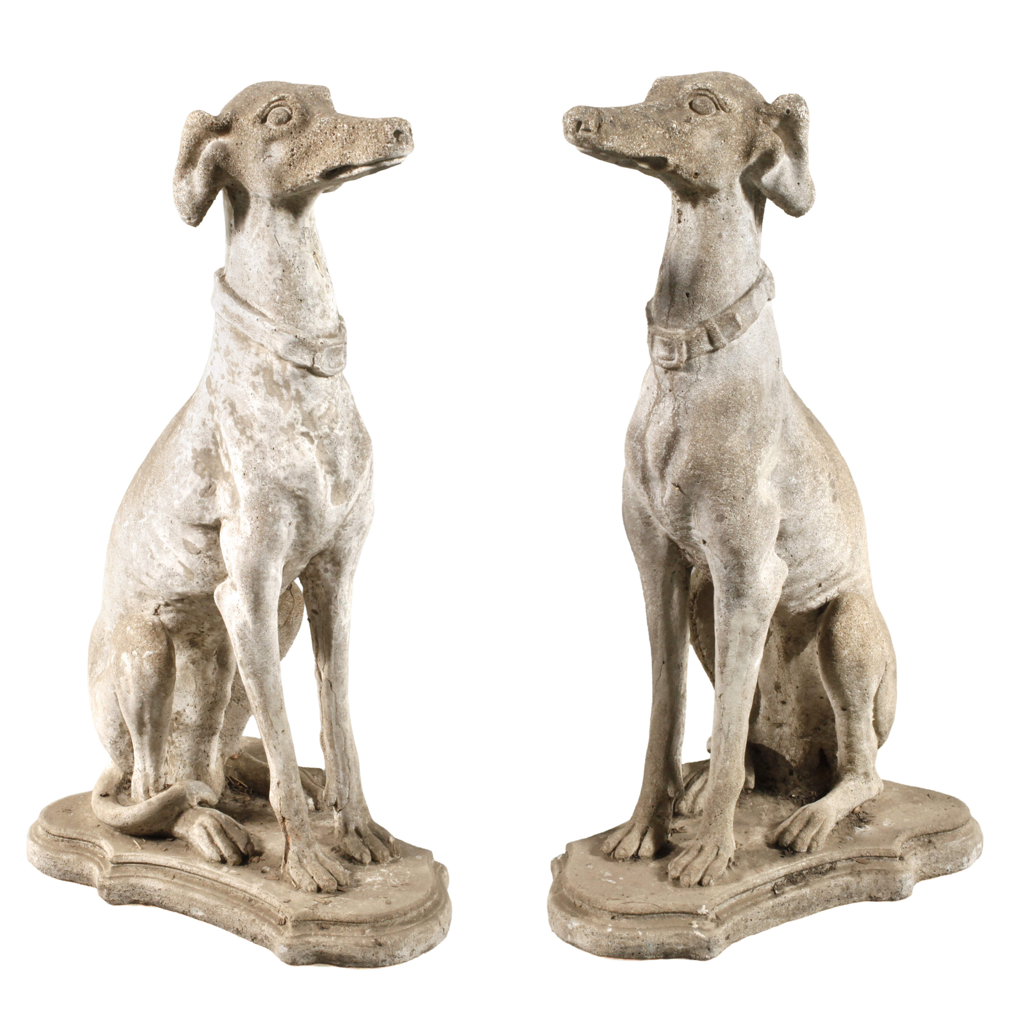 Paar sitzende Windhunde