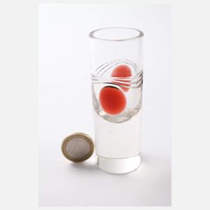 Bayerischer Wald sechs Stamperl