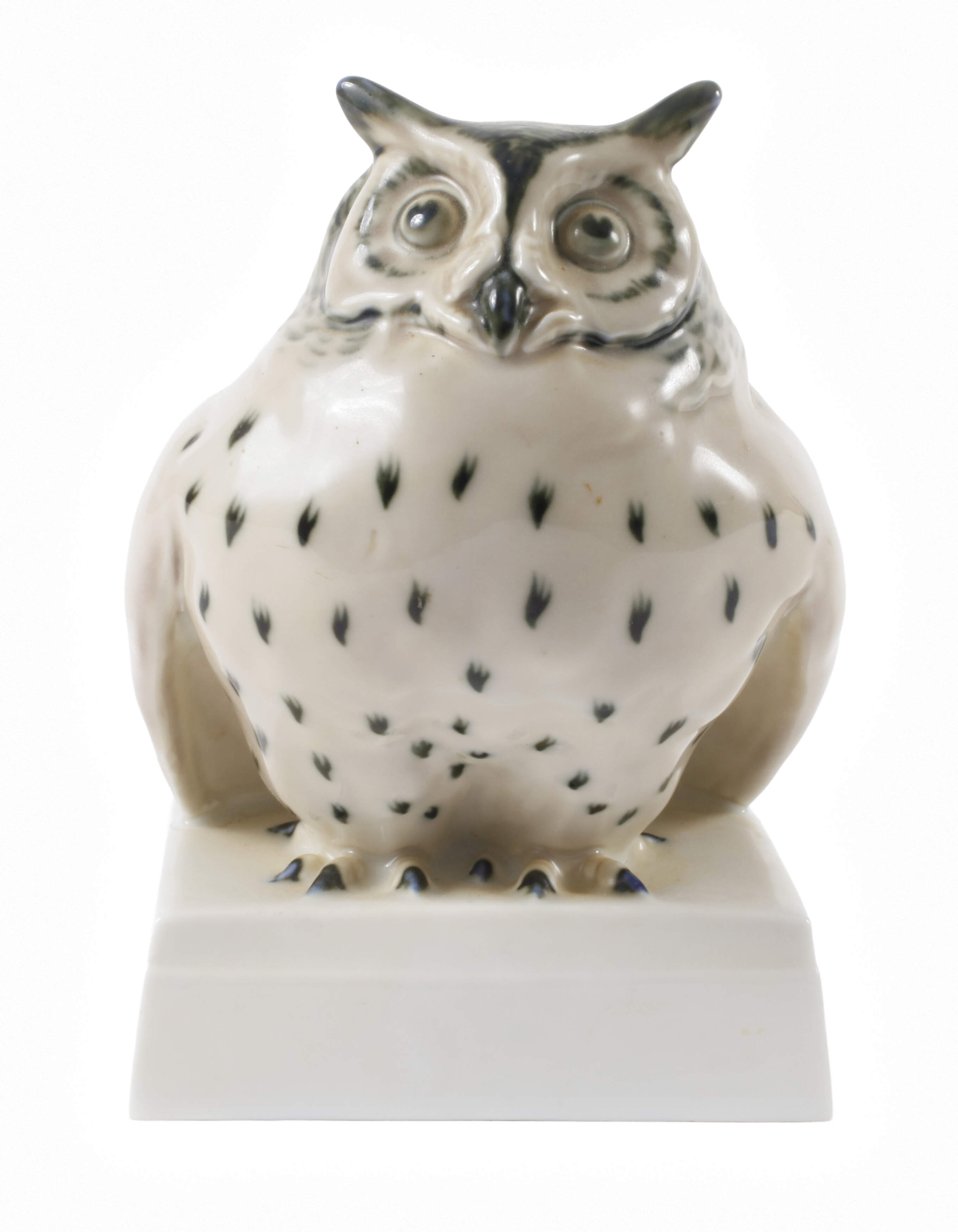 Pirkenhammer Böhmen Waldohreule