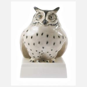 Pirkenhammer Böhmen Waldohreule