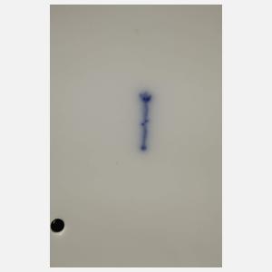 KPM Berlin "Mädchen mit Fisch"