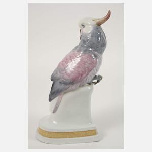 Karl Ens Volkstedt Kakadu