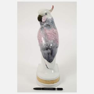 Karl Ens Volkstedt Kakadu