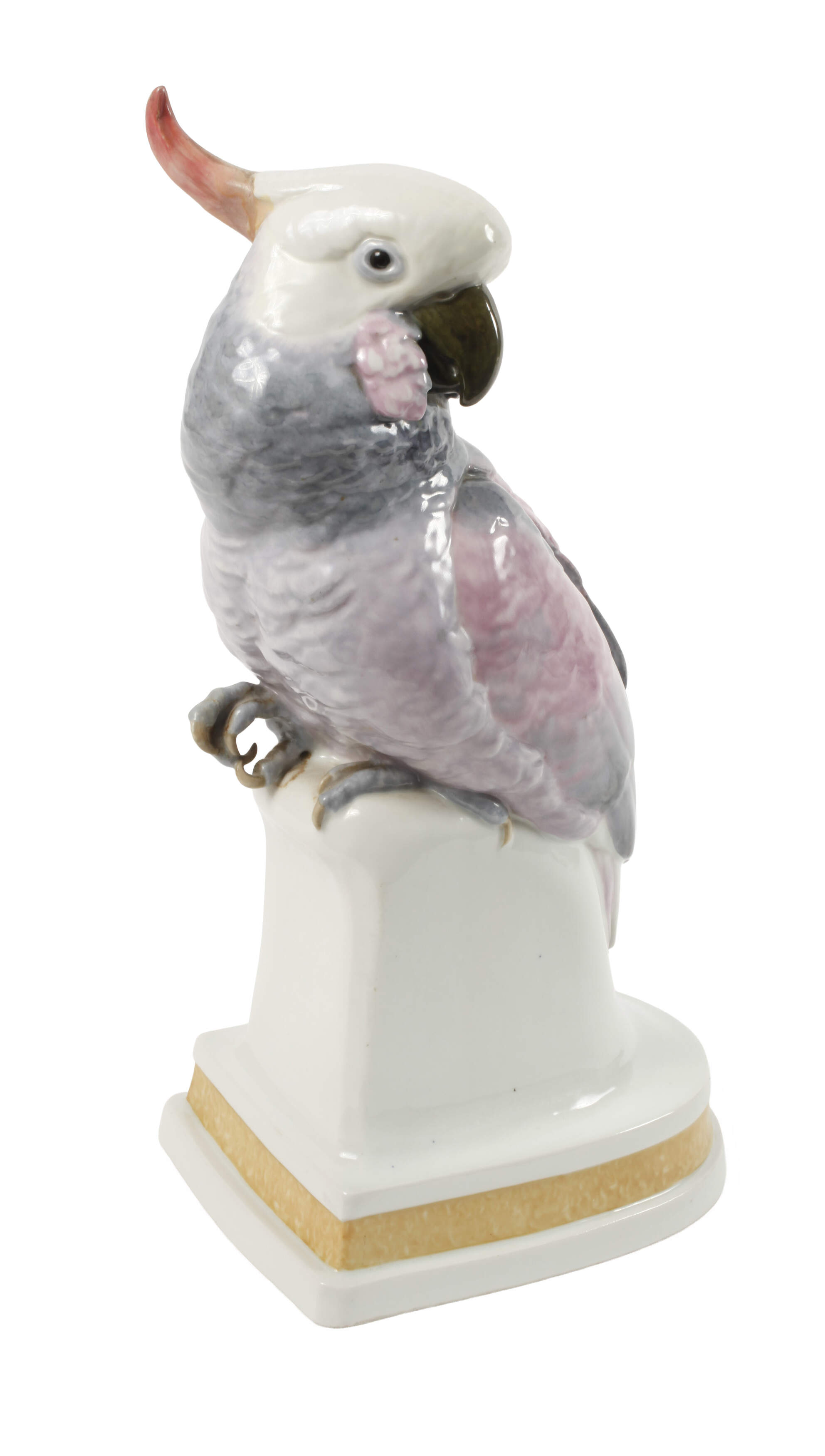 Karl Ens Volkstedt Kakadu