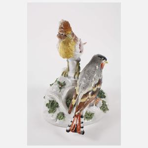 Höchst/Passau Vogelgruppe