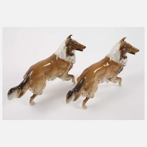 Hutschenreuther Familie "Collie"