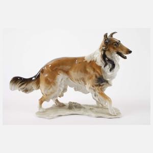 Hutschenreuther Familie "Collie"