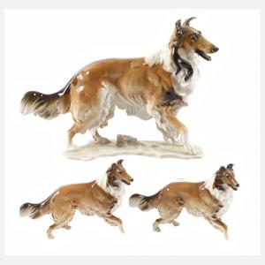 Hutschenreuther Familie "Collie"