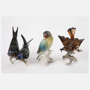 Hutschenreuther Konvolut Singvögel