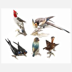 Hutschenreuther Konvolut Singvögel